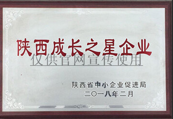 陝西成長之星企業