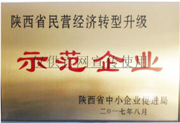 陝西省民營經濟轉型升級(jí)示範(fàn)企業